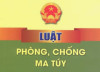 Luật PCMT
